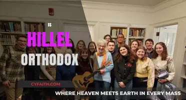 Is Hillel Orthodox? Exploring Jewish Denominational Identity and Practice