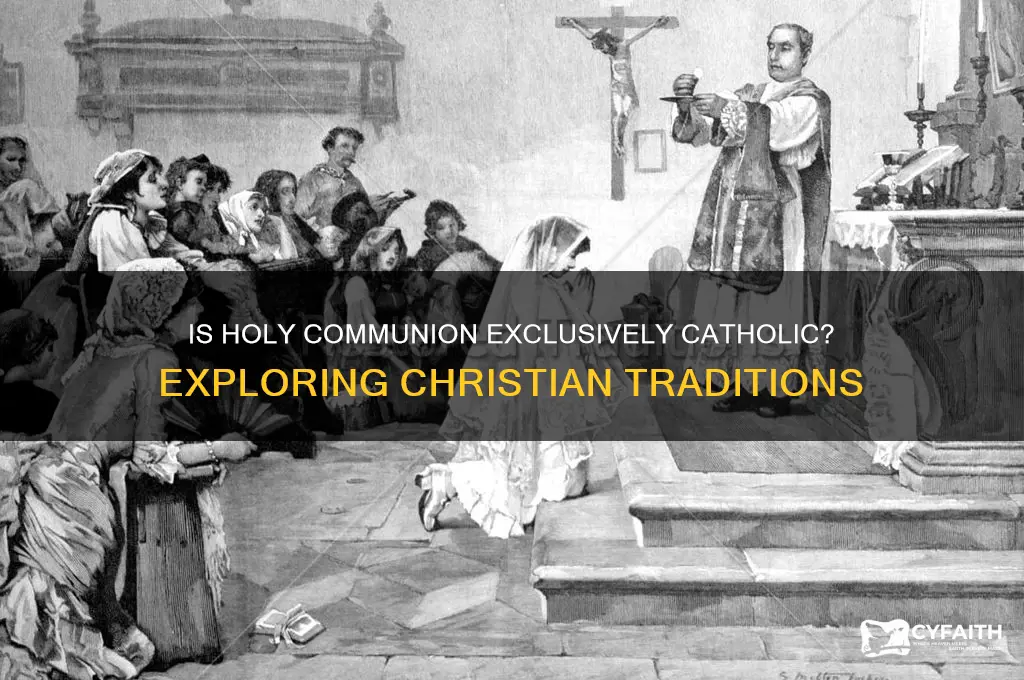 is holy communion only catholic