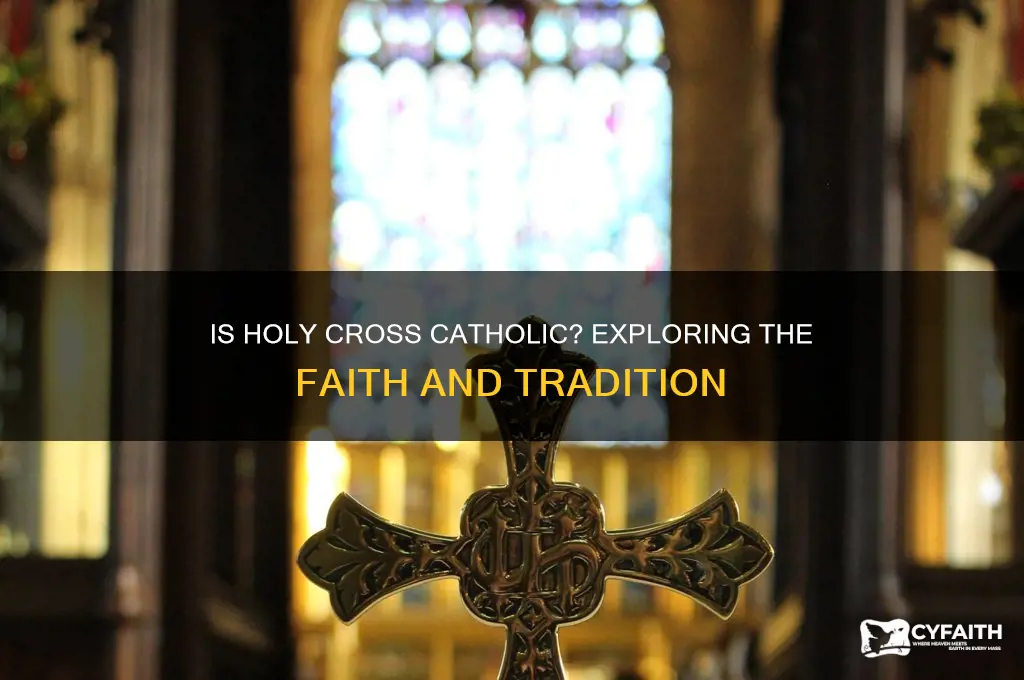 is holy cross catholic