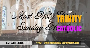 Is Holy Trinity Catholic? Exploring Faith, Doctrine, and Tradition