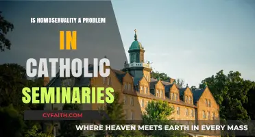 Homosexuality in Catholic Seminaries: Problem or Not?