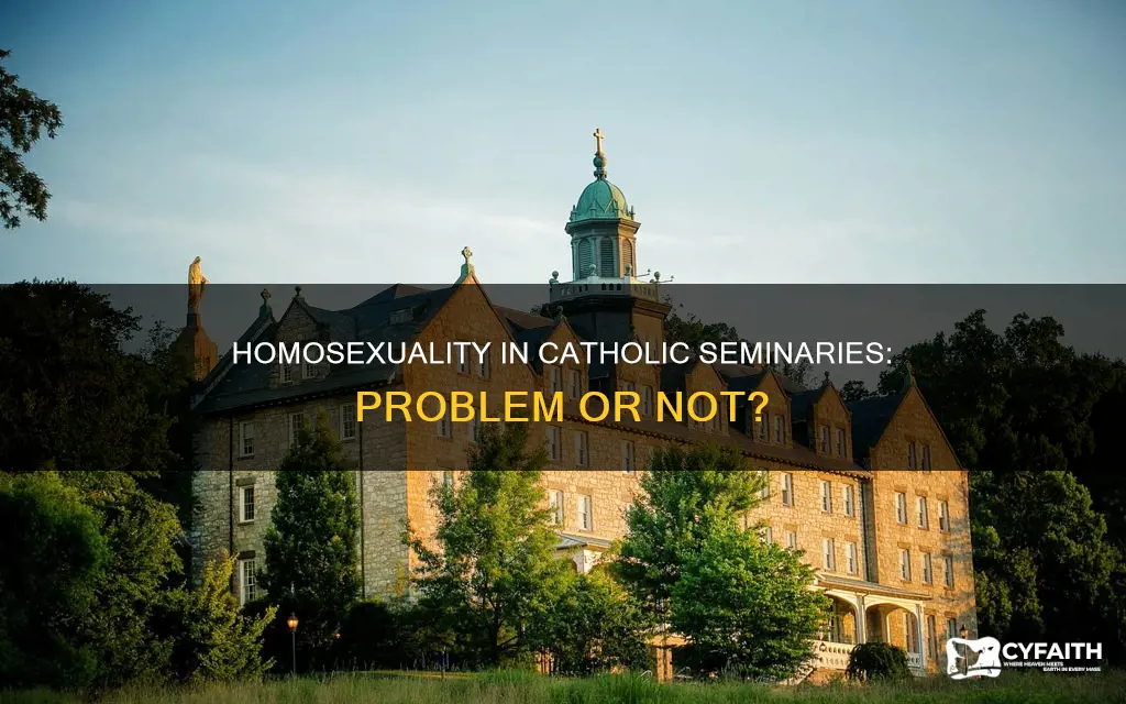 is homosexuality a problem in catholic seminaries