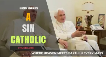 Is Homosexuality a Sin? Catholic Teachings and Perspectives Explored
