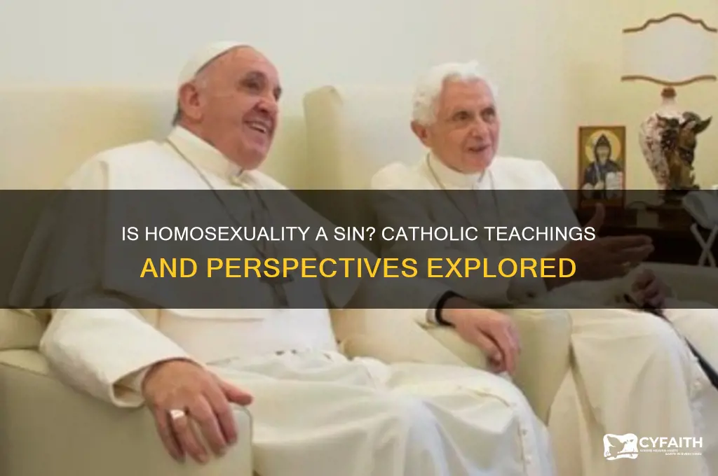 is homosexuality a sin catholic