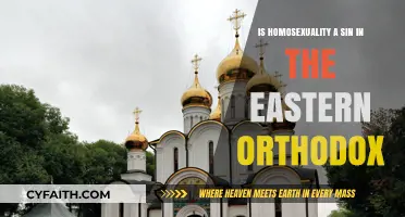 Homosexuality and Sin: Eastern Orthodox Perspectives on a Complex Issue