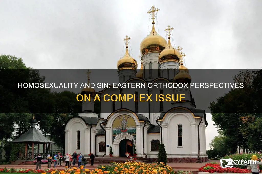 is homosexuality a sin in the eastern orthodox
