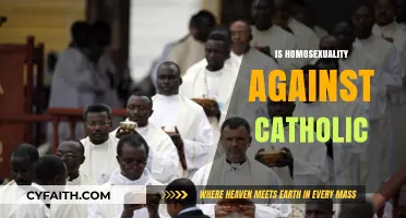 Is Homosexuality Against Catholic Teachings? Exploring Church Doctrine and Views