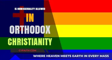 Homosexuality and Orthodox Christianity: Exploring Theological Perspectives and Practices