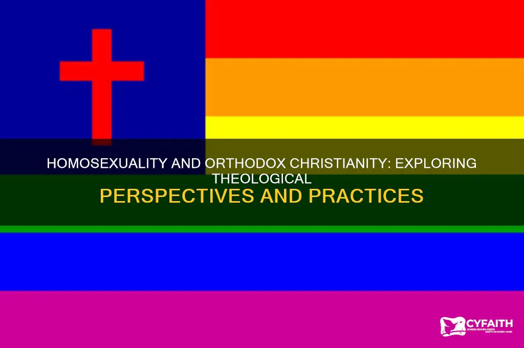 is homosexuality allowed in orthodox christianity
