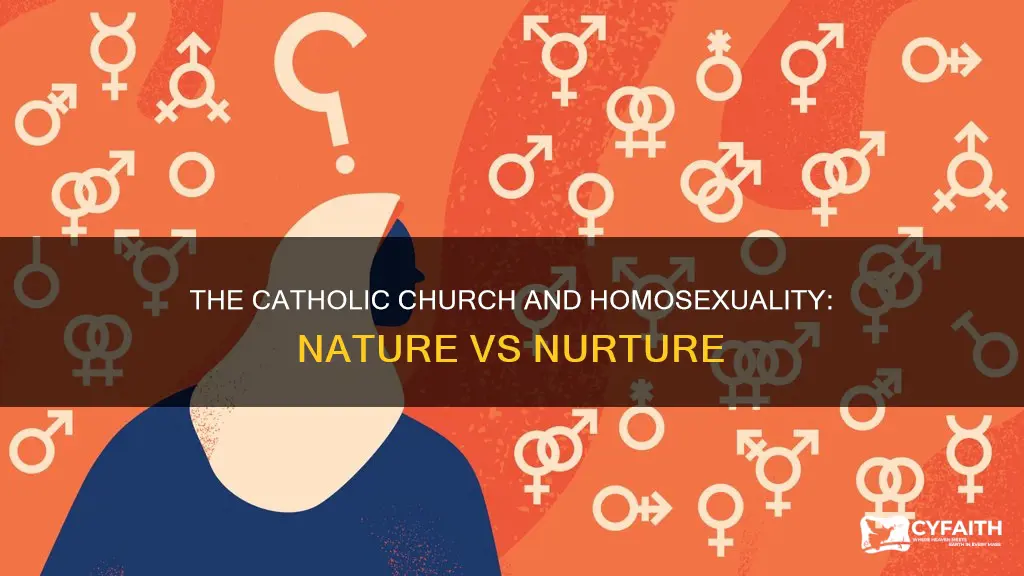is homosexuality learned or biological catholic