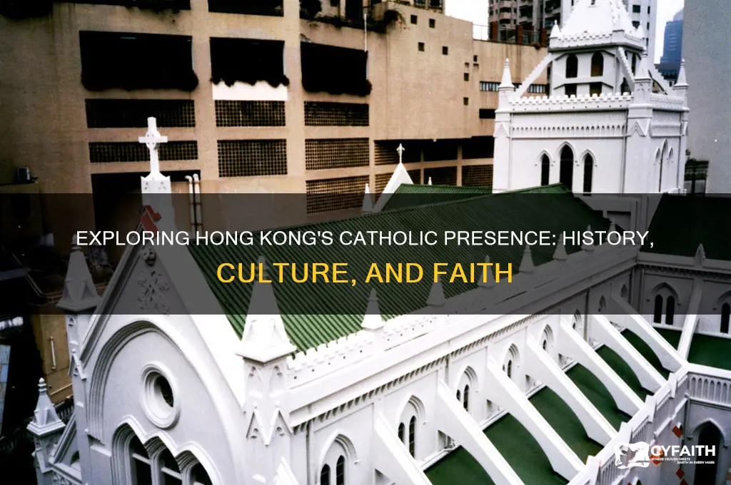 is hong kong catholic