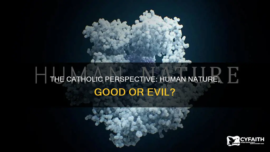 is humankind inherently good or evil catholic