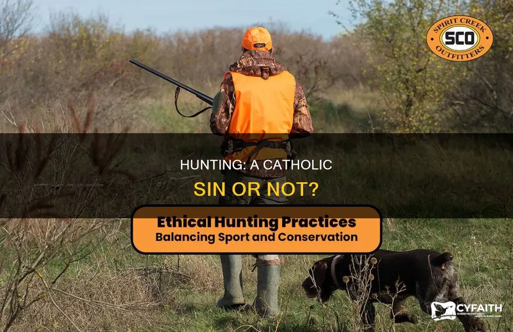 is hunting a sin catholic answers