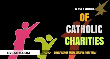 IFSS: Catholic Charities' Division for Family Support