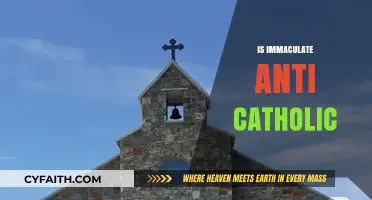 Is Immaculate Conception a Catholic Doctrine or Universal Belief?