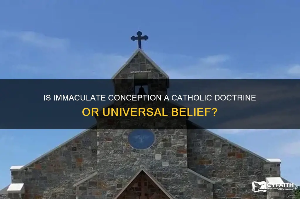 is immaculate anti catholic