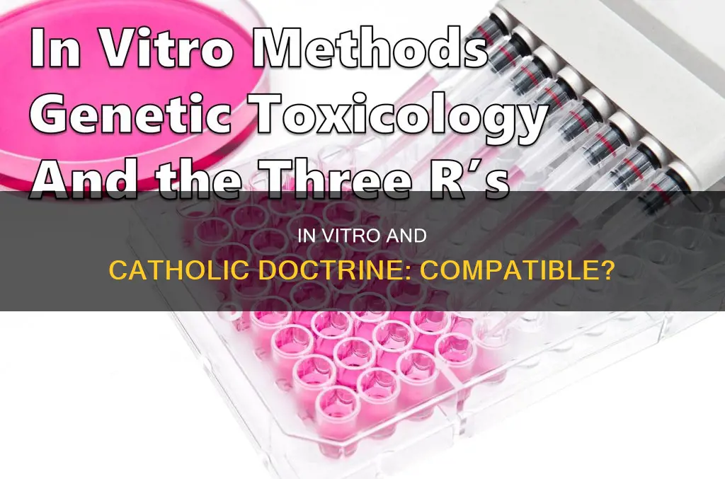 is in vitro against the catholic religion