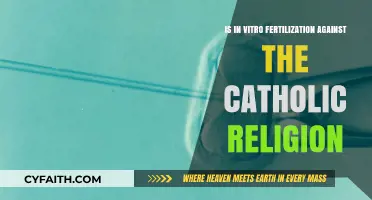 In Vitro Fertilization: Catholic Religion's Perspective