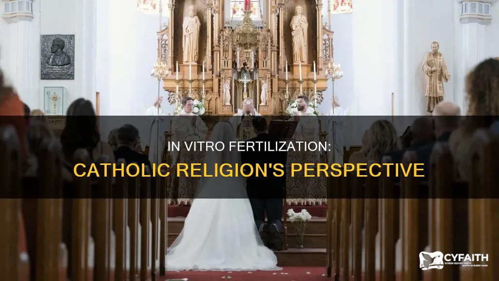 is in vitro fertilization against the catholic religion