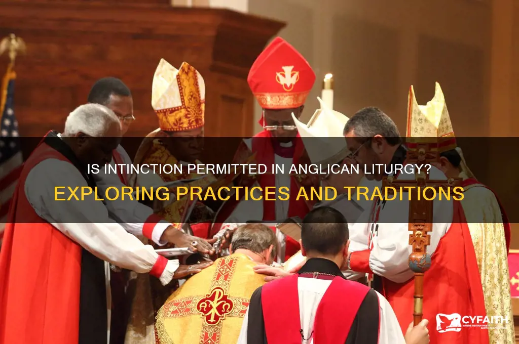 is intinction allowed in the anglican church