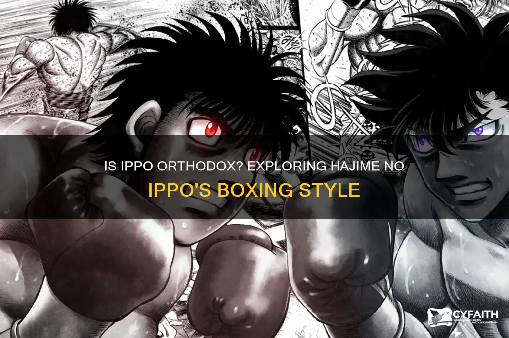 is ippo orthodox