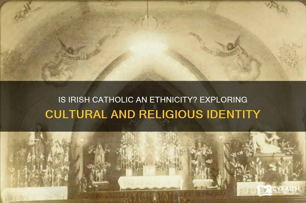 is irish catholic an ethnicity