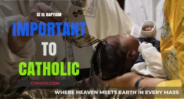 Baptism: A Catholic's Gateway to Grace