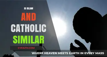 Exploring Commonalities: Islam and Catholicism's Shared Beliefs and Practices