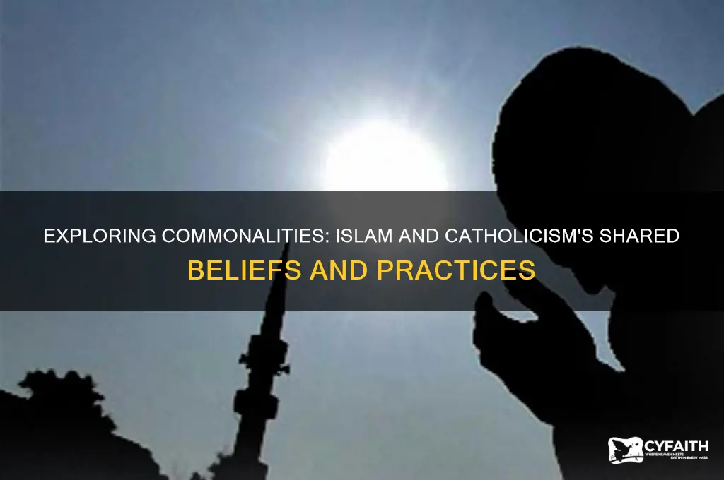 is islam and catholic similar