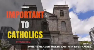 Israel's Significance: A Catholic Perspective on Faith and History