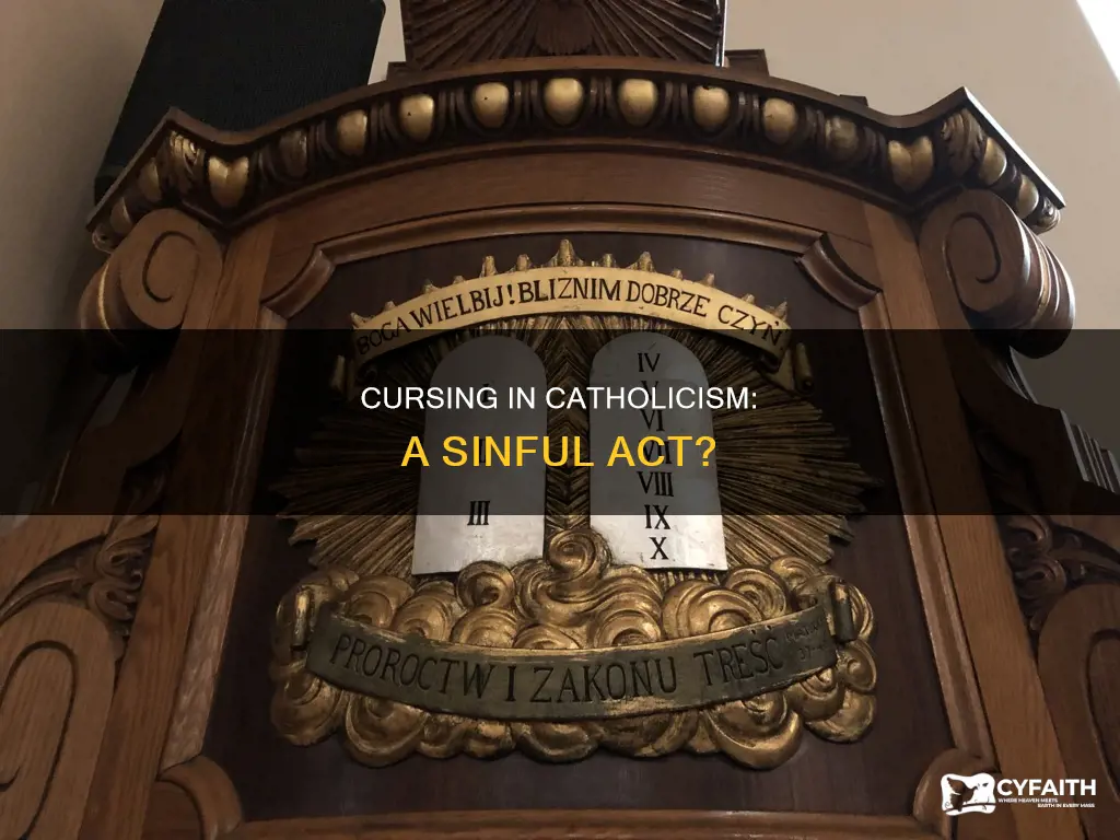 is it a sin to curse catholic
