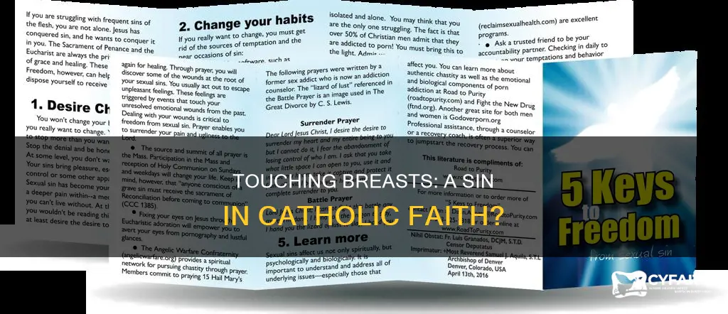 is it a sin to touch boobs catholic