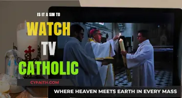 TV Viewing: Catholic Sin or Salvation?
