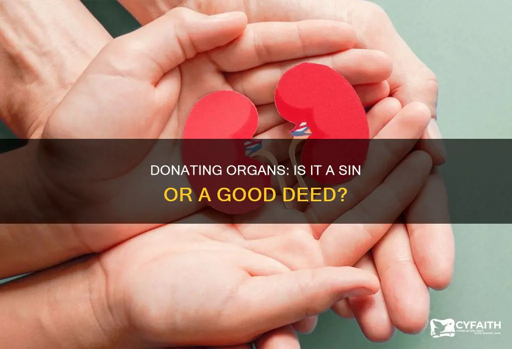 is it against catholic religion to donate organs