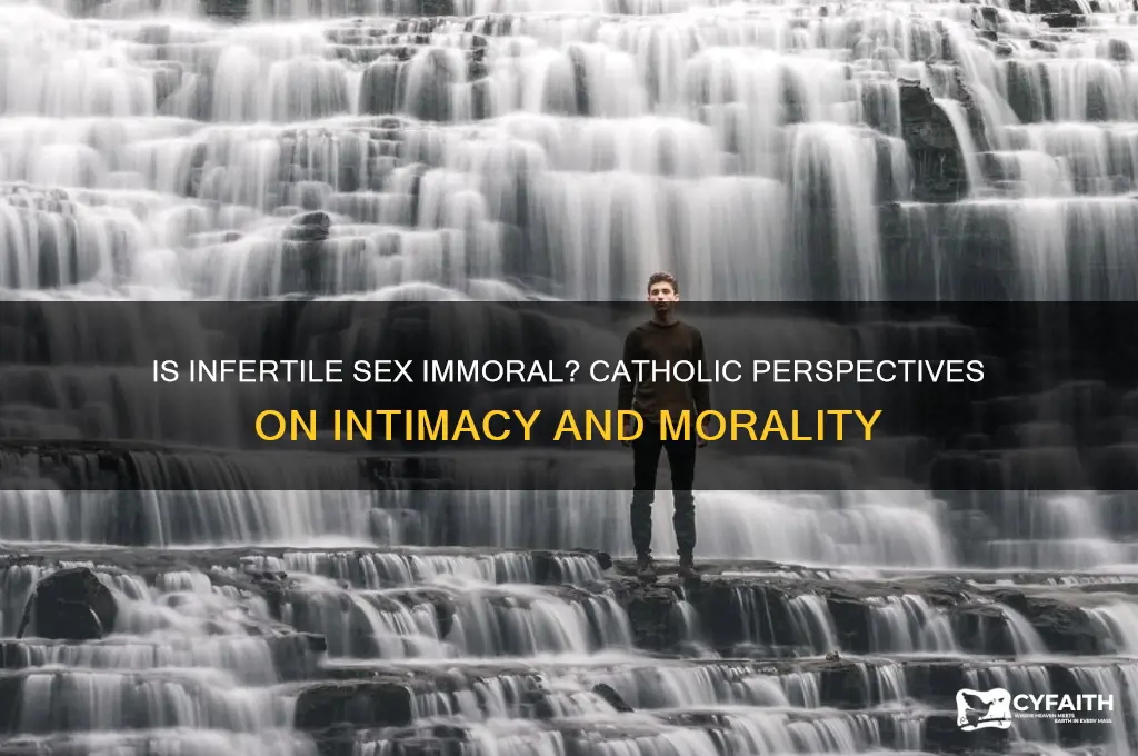 is it immoral for infertile to have sex catholic