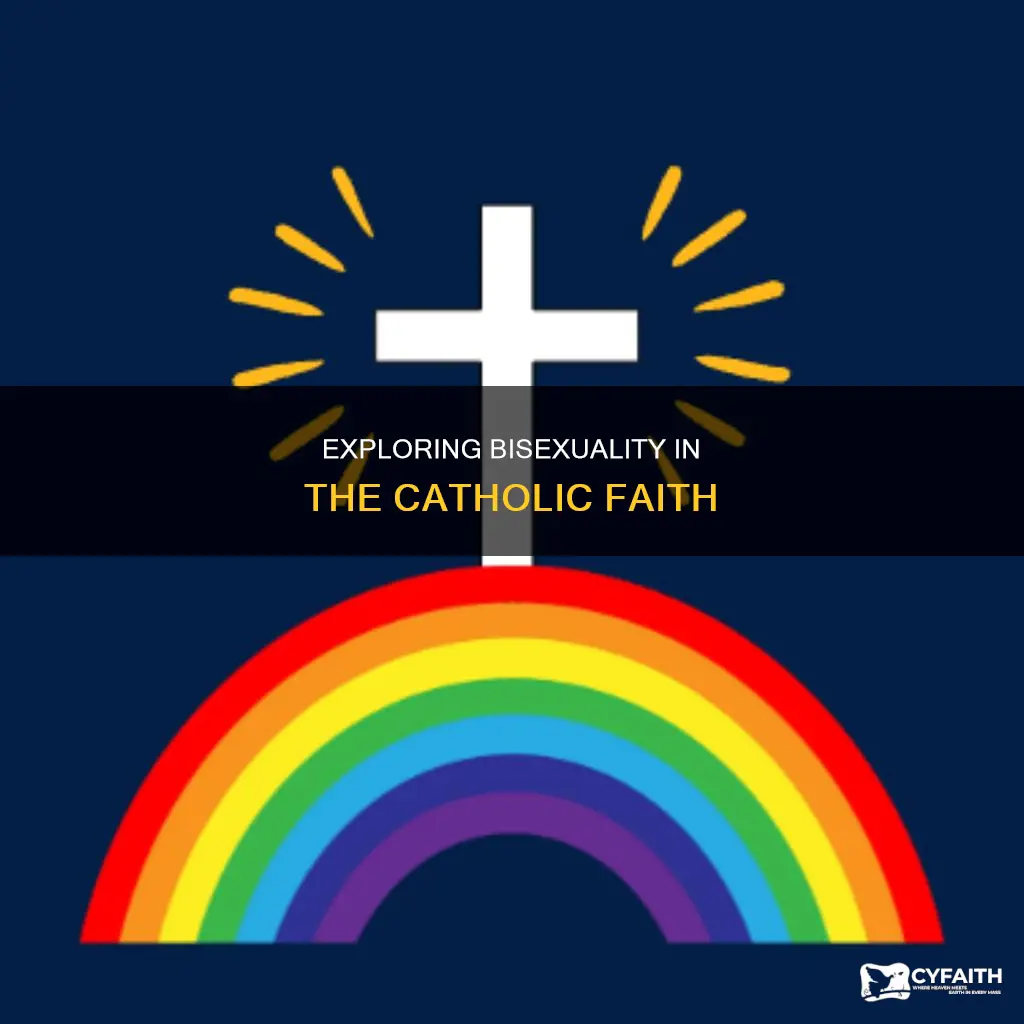 is it ok to be bisexual as catholic