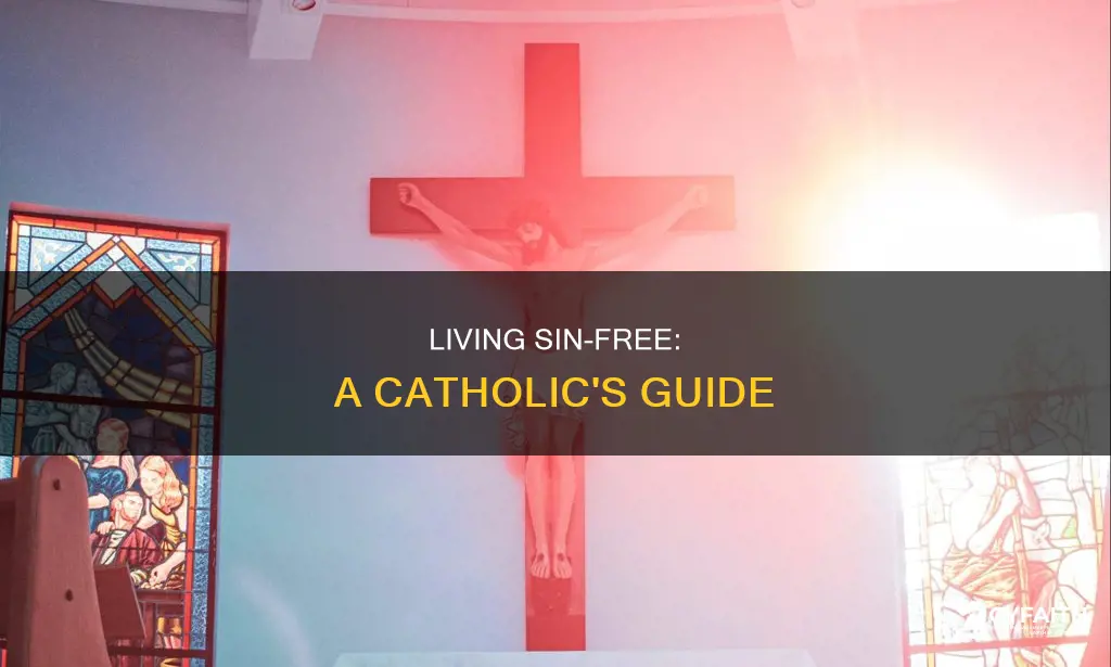 is it possible to live without sinning catholic