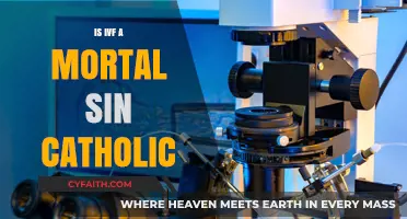 IVF: A Catholic Moral Dilemma