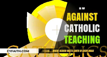 IVF and Catholic Doctrine: Exploring the Ethical and Moral Debate