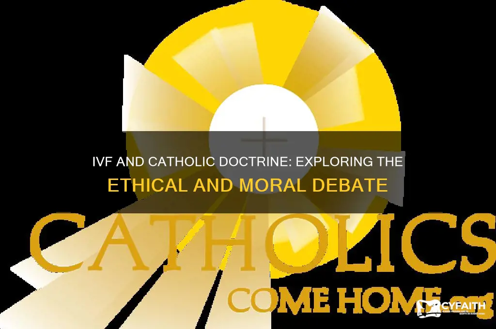 is ivf against catholic teaching