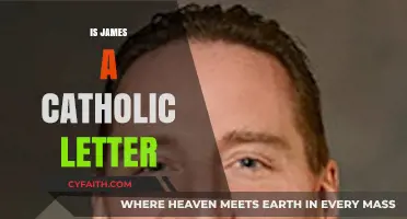 Is James a Catholic Letter? Exploring Its Faith and Origins