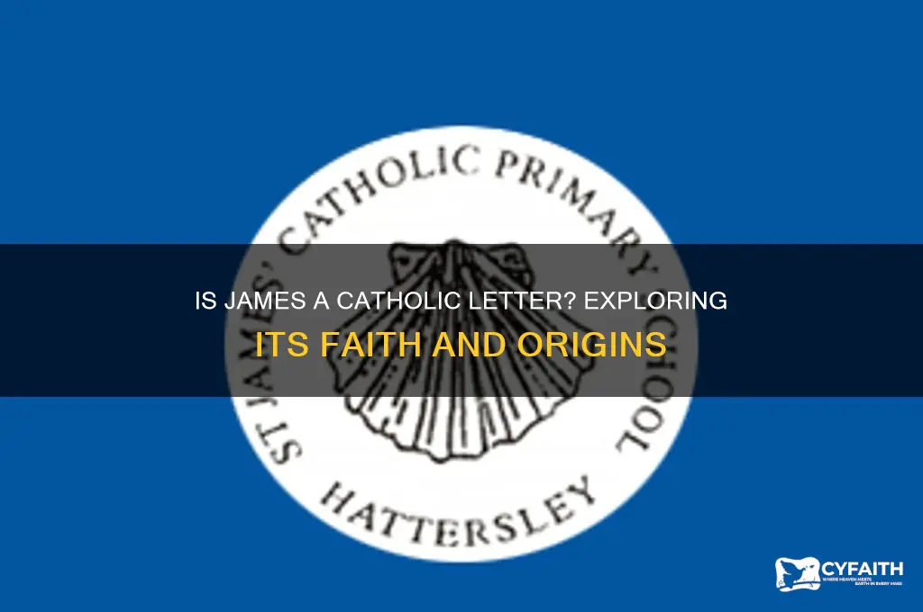 is james a catholic letter