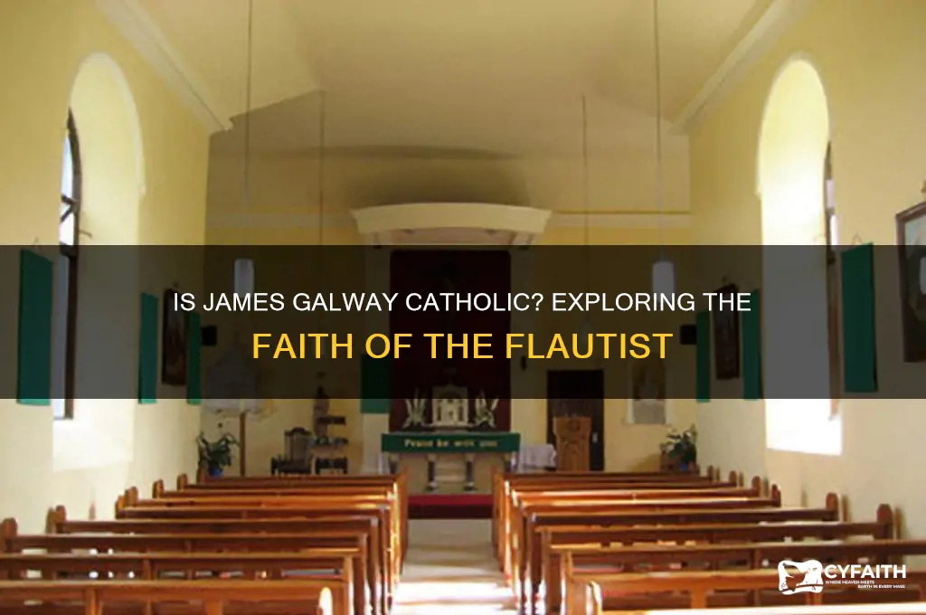 is james galway catholic