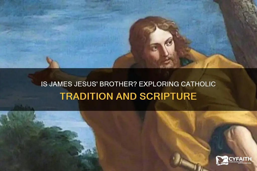 is james jesus brother catholic