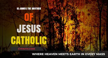 James, Brother of Jesus: Catholic Perspective