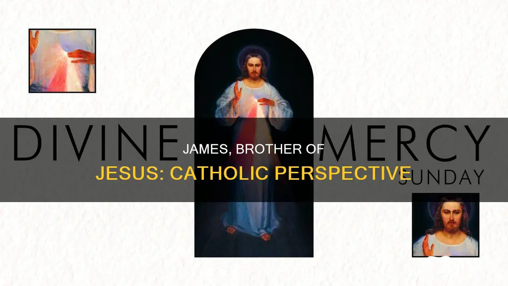 is james the brother of jesus catholic