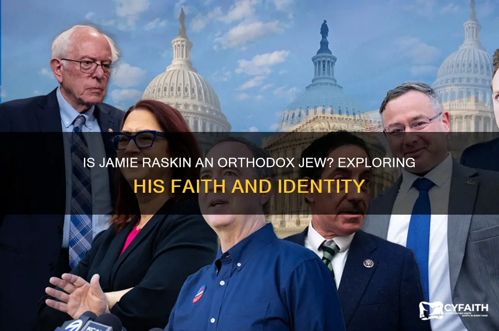 is jamie raskin an orthodox jew