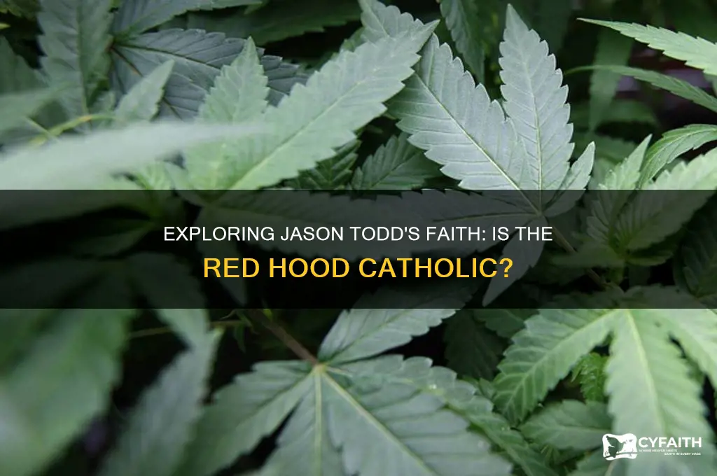 is jason todd catholic