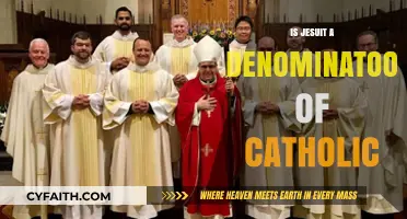 Jesuits: Catholic Denomination or Something Else?