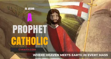 Is Jesus a Prophet in Catholic Doctrine? Exploring the Faith's Teachings